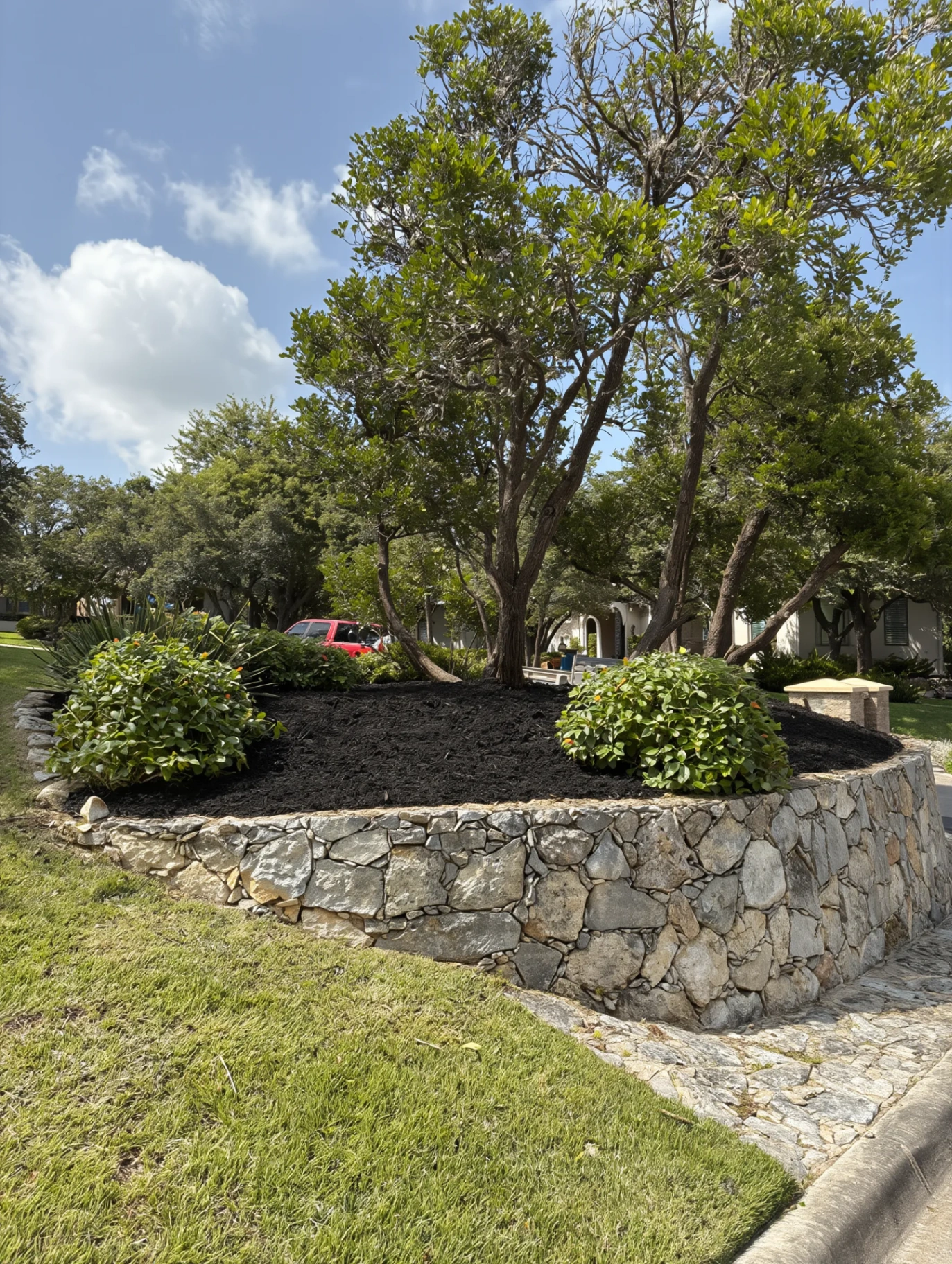 Curved raised stone planter wrapping a mature oak