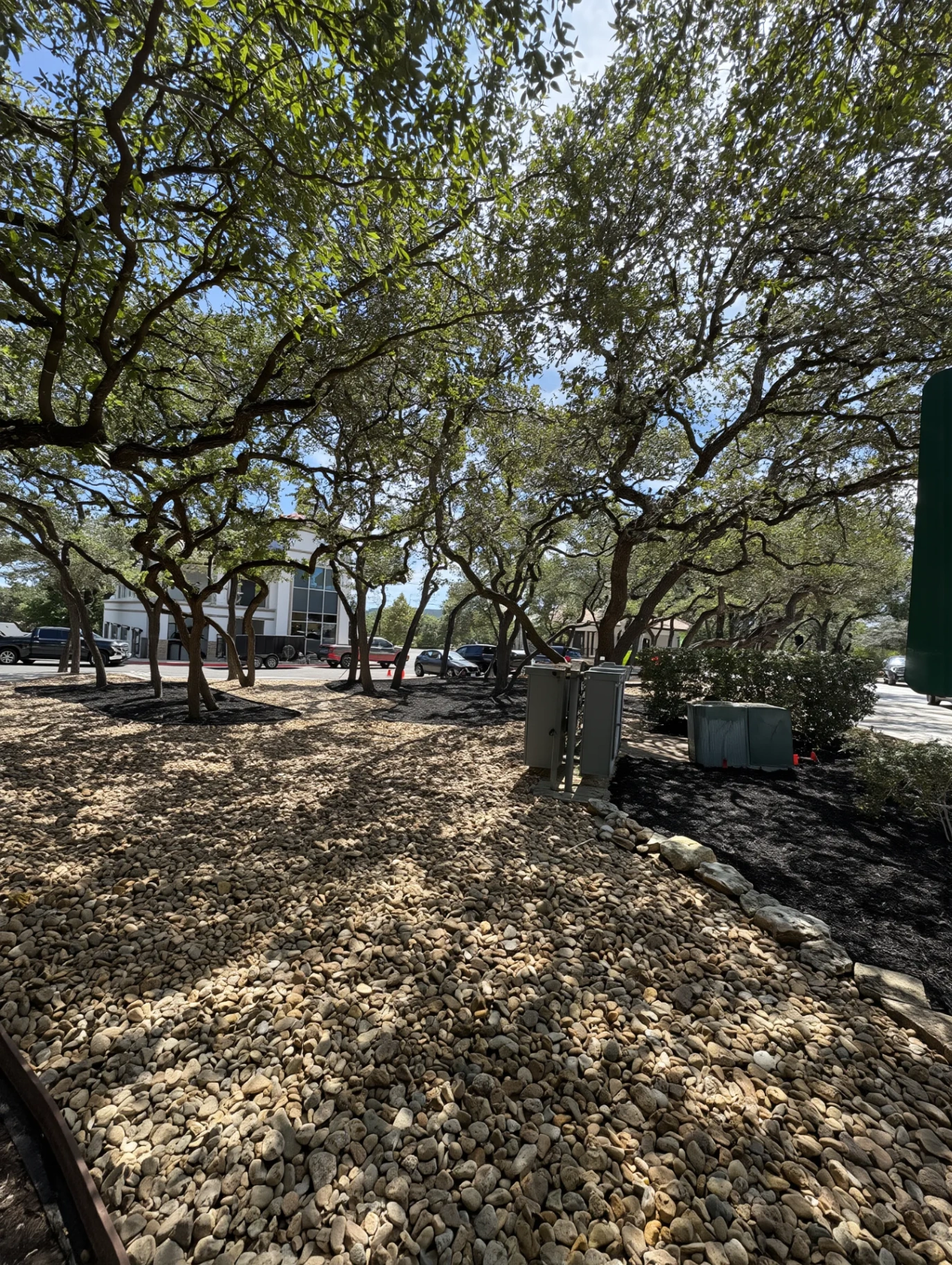 Decomposed-granite xeriscape under oak canopy with dry creek