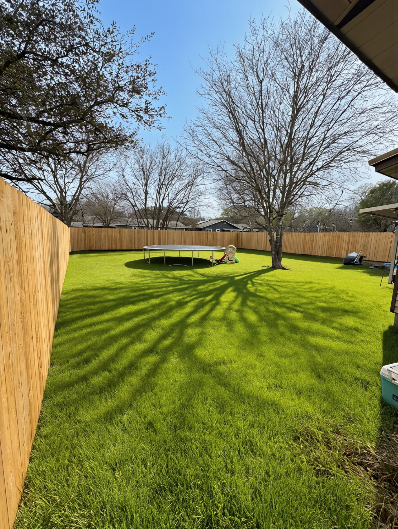 Lush backyard lawn with trampoline under live oaks