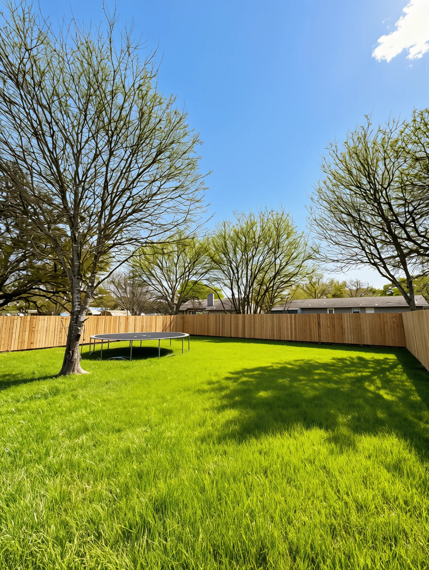 Sod & Lawn Installation